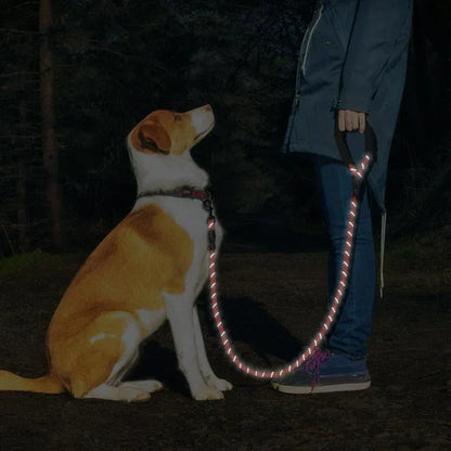 5ft HarnessGear™ Dog Leash