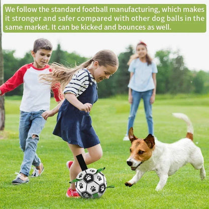 Inflatable Soccer Ball Dog Toy