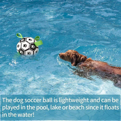 Inflatable Soccer Ball Dog Toy