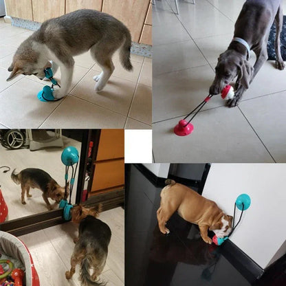 Chew Ball Toy